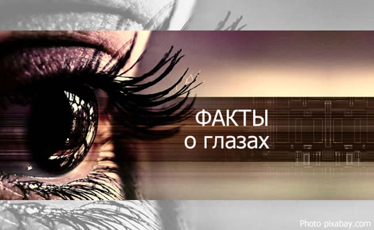 40 фактов о глазах, которых вы не знали eyes facts