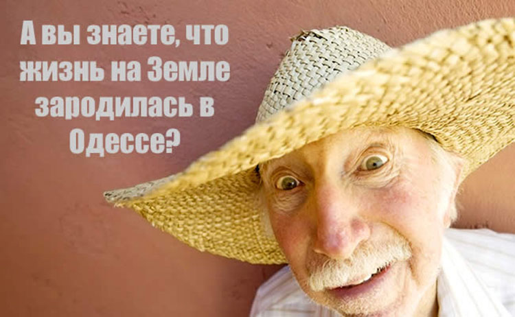 И опять, как и всегда, одесский юмор! odessa humor