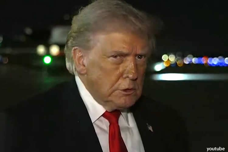 Лиза Фохт: Год вместе с Трампом